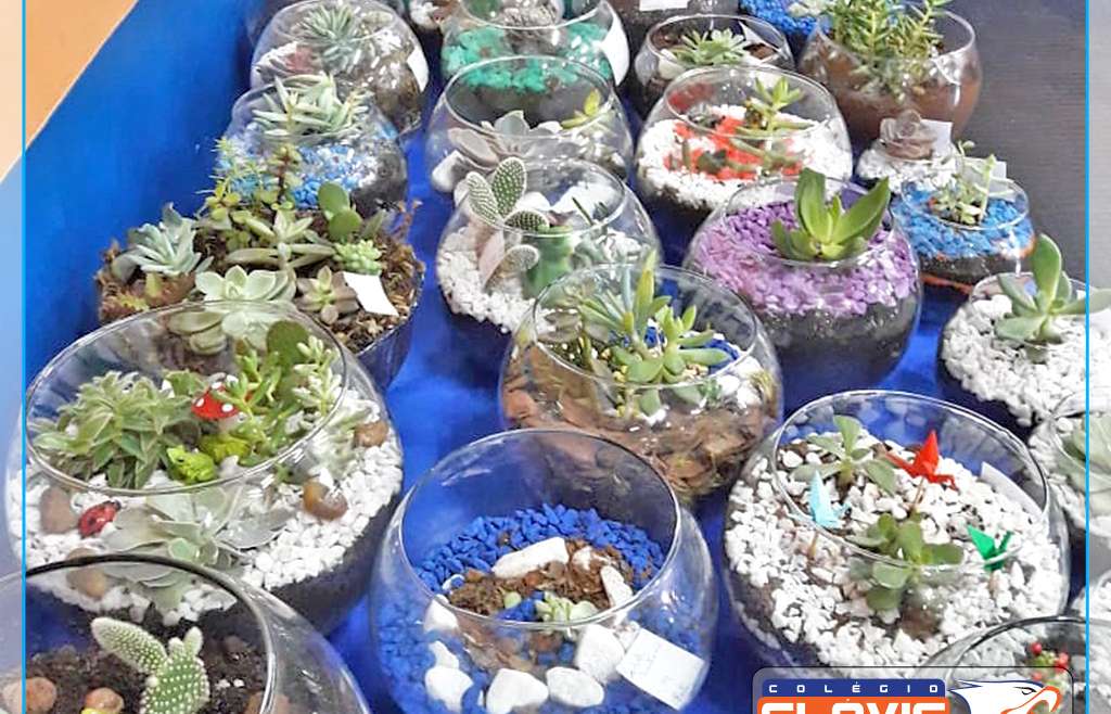 Projeto de biologia: Terrário
