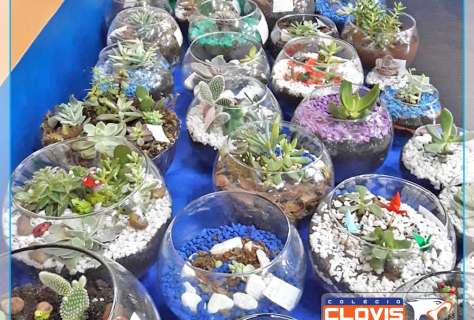 Projeto de biologia: Terrário