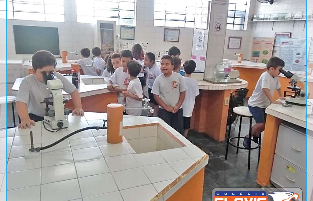 PROJETO: DIVERTINDO-ME APRENDI – 2º ANO