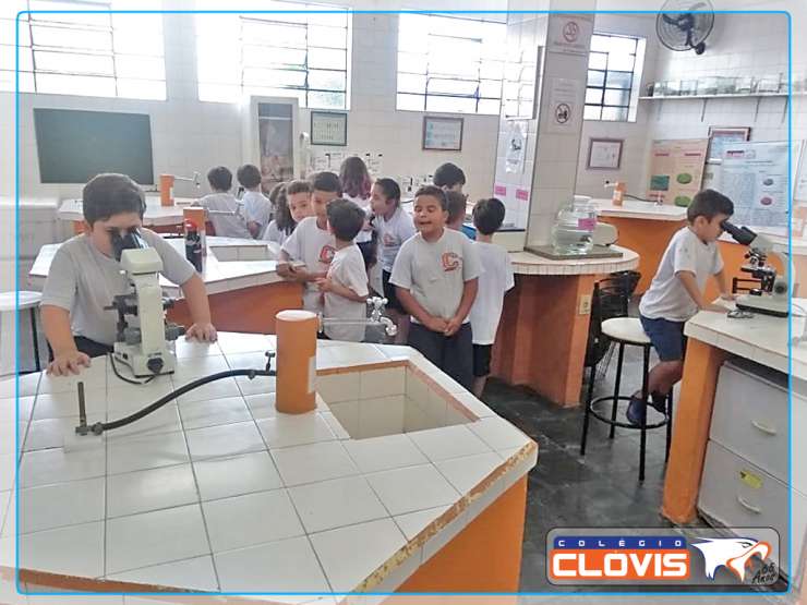 PROJETO: DIVERTINDO-ME APRENDI – 2º ANO